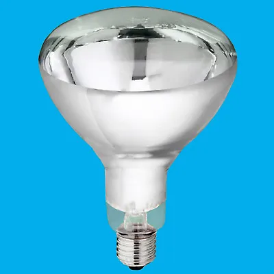 2x 250W Infrared Heat Bulb Carvery Food Service Restaurant Catering Display Lamp • £19.99