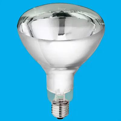 £28.49 • Buy 4x 250W IR Heat Lamp, Food Service, Catering Display, Infra Red Light Bulbs