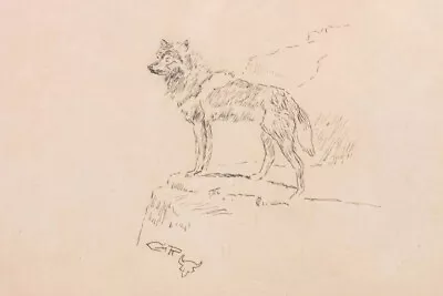 Wolf Drawing By Charles M Russell Western Giclee Art Print + Ships Free • $49