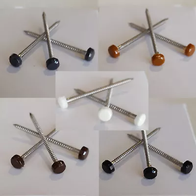 £5.99 • Buy UPVC PolyTop Pins Nails Plastic Headed Stainless Steel 40mm Choice Of Colours