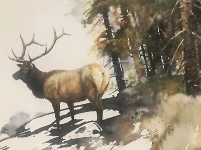 Morten Solberg Rare A/p “high Country Elk“ 28/50 Limited Edition Lithograph • $295