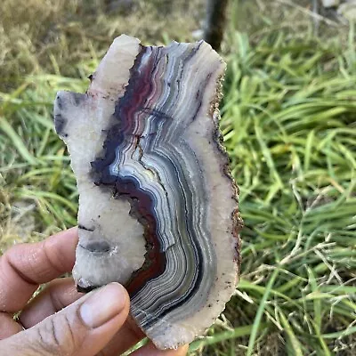 Crazy’s Lace Agate Slab (Mexico) • $18