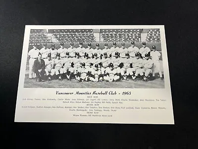 ORIGINAL - 1965 Vancouver Mounties - Team Issued Photo - PCL - 6x9in. - CLEAN • $8.88