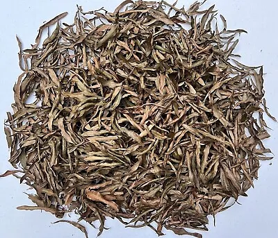 1 Gallon Organic Willow Oak Heat Treated Leaves Leaf Litter Reptile Terrarium • $5.95