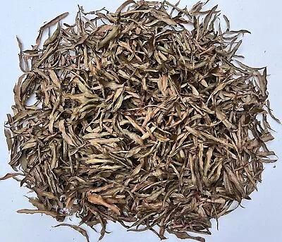 2 Gallons Organic Willow Oak Leaf Litter Heat Treated Leaves Reptile Terrarium • $13.95