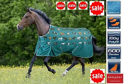 TURNOUT RUG 100G Light Medium Weight Bridleway Ontario Horse Breeds Horse Rug • £38.85