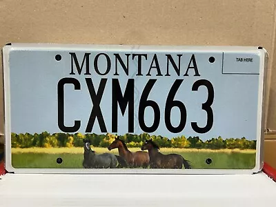 Mile High Horsemen Montana License Plate • $12