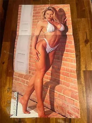 MONICA BRANT Muscle Bodybuilding Fitness Model Poster • $7.49