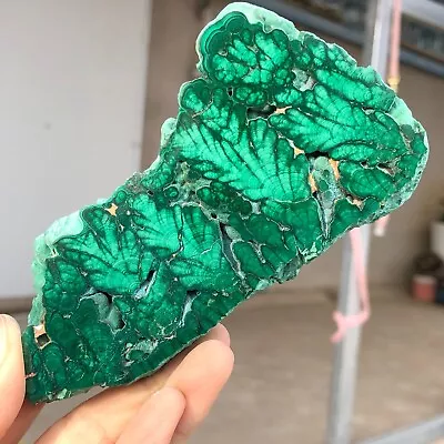 269g Natural Shiny Green Bright Malachite Fibre Crystal Mineral Specimen Q406 • $8.50