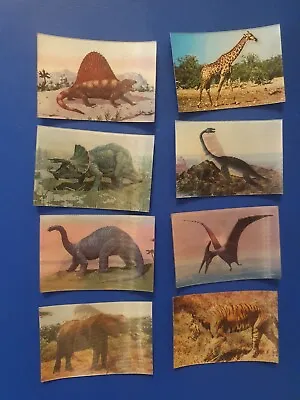 Kelloggs Cards 3D Prehistoric Animals Past And Present Full Set • £2.99