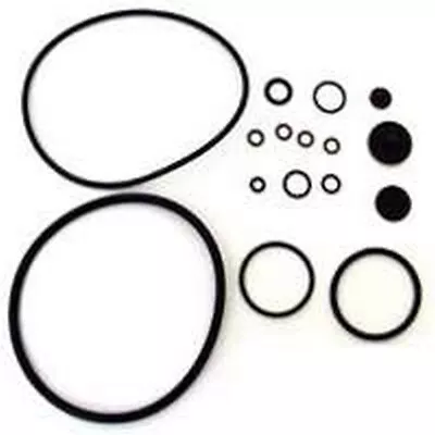 £12.49 • Buy NEW Chapin 6-5351 Compression Sprayer SEAL Repair Kit USA MADE SPRAY N GO 