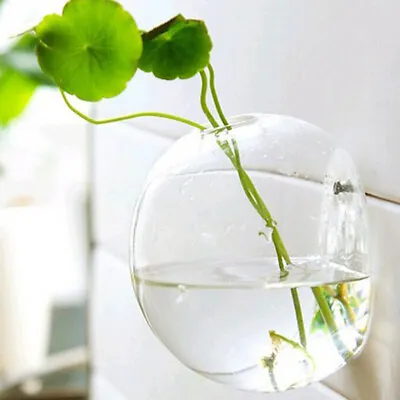 £9.26 • Buy 1pc Wall Mounted Clear Glass Hanging Terrariums Planter Plant Container Pots