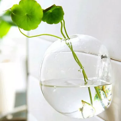 £9.26 • Buy 1pc Wall Mounted Clear Glass Hanging Terrariums Planter Plant Container Pots