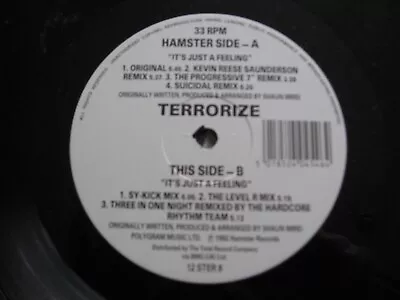 Terrorize – It's Just A Feeling (The Remix Project)  - 12   (Hamster Records) • £17