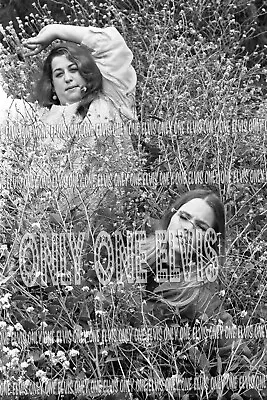 1966 MAMAS & The PAPAS (PHOTO) JOHN & MICHELLE PHILLIPS Cass Elliot 007 • $2.72