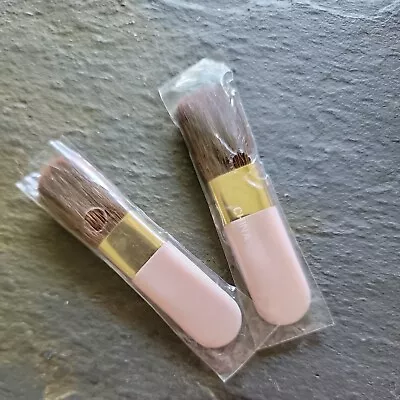 $12 • Buy Lot 2 Mary Kay Pink Brushes Cheek Blush Brushes ~ 2-1/2  Long