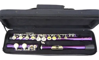 New Purple C Flute -  Student School Band Flute W/case.approved. Warranty. • $69.95