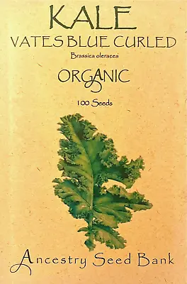 ORGANIC KALE ❁ VATES BLUE CURLED ❁ 100 Seeds HEIRLOOM 🌱 Non GMO • £3.99