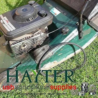£8.48 • Buy Hayter Harrier 48 Drive Belt 219110 Lawnmower Transmission Clutch Next Day