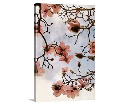 Tulip Magnolia III Wall Art Thea Schrack 12x18   Picture  • $39.99