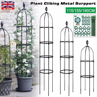 Outdoor Garden Metal Obelisk Climbing Plant Support Frame Trellis For Plants UK • £12.99