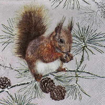 £1.35 • Buy 5 X Paper Cocktail Napkins/Decoupage/Craft/Dining - Squirrel In Snow Pine  BC22