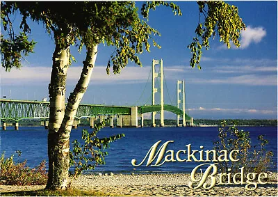 Mackinac Bridge Michigan Postcard Unposted • $4.39