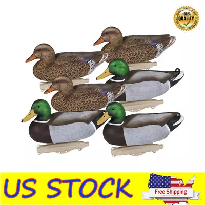 14'' Storm Front 2 Mallard Decoys Waterfowl Duck Pool Decor Floaters 6 Pack HOT • $68.94