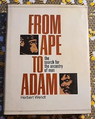 From Ape To Adam: Search For The Evolution Of Man By Herbert Wendt HC/DJ 1974 • $19