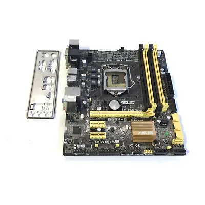 Asus Motherboard B85M-G DDR3 LGA 1150 MATX HDMI VGA DVI USB 3.0 + I/O Shield • $48.75