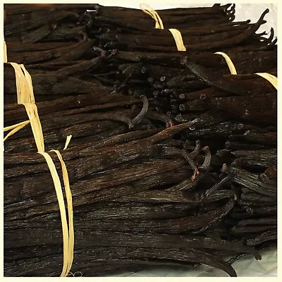 Premium Vanilla Beans Grade A 6+ Inches Direct From Growers - Fair Price 1 Lb. • $90.99