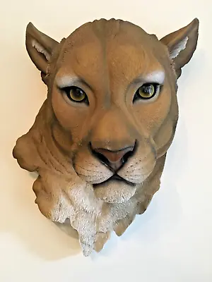 Mountain Lion Wall Mounted 16 Inch 40 CM Large Cat Head Life Size Wall Art GIFT • £45