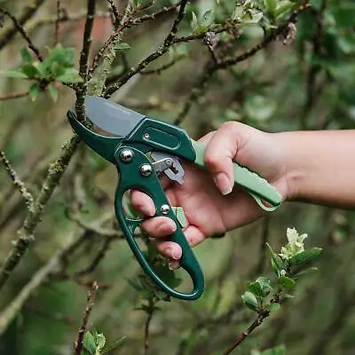 Ratchet Secateurs Green With Carbon Steel Blade Rust Resistant Cuts Hardier Wood • £8.99