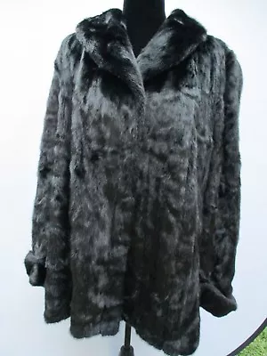 Real Ranch Mink Fur Female Skins Brown Mahogany Coat Stroller Jacket Huge Col M • $595