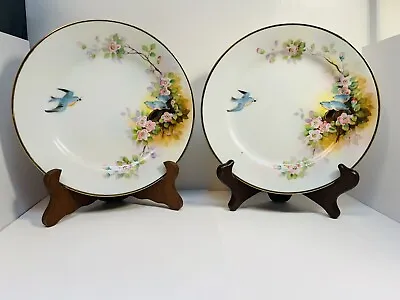 Pair Vintage Nippon Forget Me Not Blue Birds Luncheon Plate  Japan 8” • $25