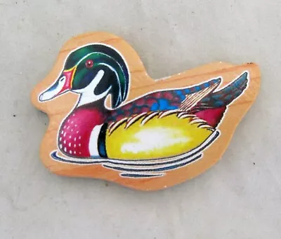 Mallard Duck Bird School Educational Kitchen Fridge Refrigerator Magnet  • $4