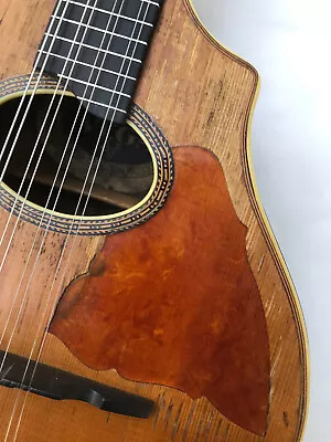 Antique Vintage Vega Mandolin Tunnel Rosewood • $1350