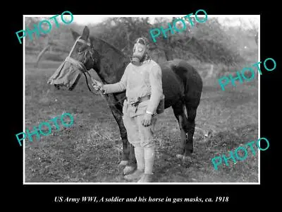 OLD 8x6 HISTORIC PHOTO OF US ARMY WWI SOLDIER & HORSE WITH GAS MASK C1918 • $9