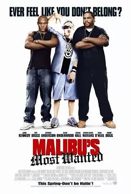 MALIBU'S MOST WANTED Great Original 27x40 D/S Movie Poster 2003 • $9.95