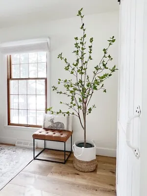 6.5’ Artificial Citrus Minimalist Tree Home Decor. Retail $248 • $135