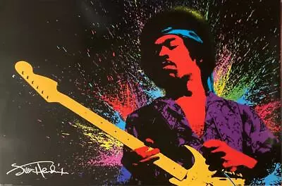 Jimi Hendrix 2010 Large Poster Pyramid Music Guitar Legend Wall Art 24 X36  New • $15.89