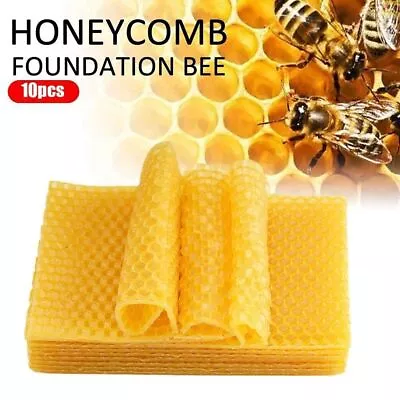 30pc National Bee Hive Super Wired Wax Foundation Sheets Beekeeping Easibee Tool • £16.79