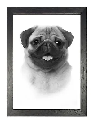 £6.99 • Buy Pug Black And White Poster Painting Dog Pet Picture Family Friend Photo Print