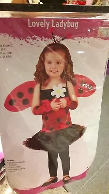 Toddlers Fancy Dress Lovely Ladybug Full Outfit Size S  • £5