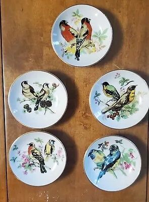 Vintage Set Of 5  Miniature Bird Plates Gold Rimmed 4  Ready To Hang Pre-owned😊 • $14.50