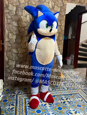 High Quality Sonic The Hedgehog Character Mascot Costume Adult Version Animation • $385