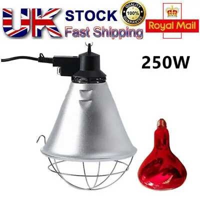 250W Infrared Heat Lamp Poultry Puppies Dog Kittens Piglets Animals With Bulb • £22.49