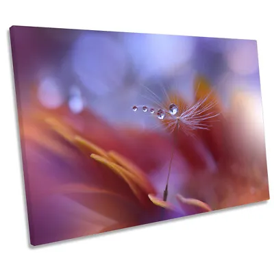 Dance In The Light Floral Flower CANVAS WALL ART Print Picture • £23.99