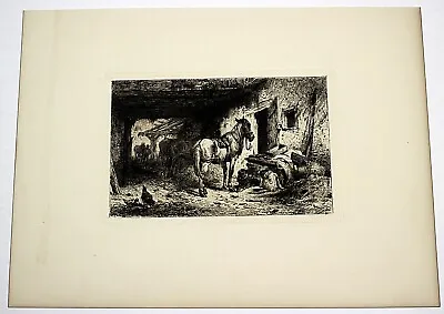 1882 Etching Entitled:  A Young Ass  Designed & Etched By Peter Moran • $55.42