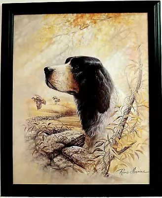 Bird Dog Picture Quail Hunting Ruane Manning Framed 16x20 • $64.95